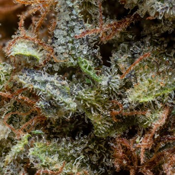 Photo of BC Organic Apple Toffee