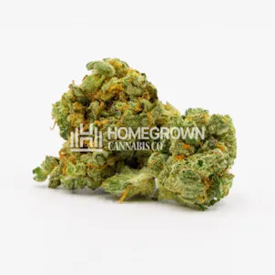 Photo of White Widow Autoflower
