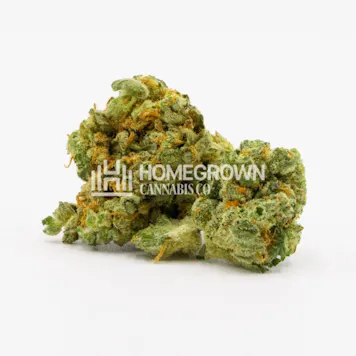 Photo of White Widow Autoflower
