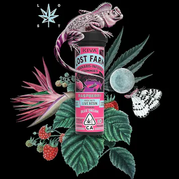 Photo of 10mg Lost Farm 'Wedding Cake x Raspberry' Live Resin Gummies 100mg THC total