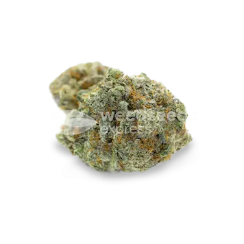 Photo of OG Kush Autoflower Seeds