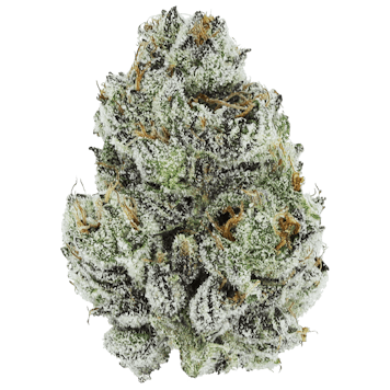 Photo of Cookie Cake - 3.5g Flower - Northwest Territories