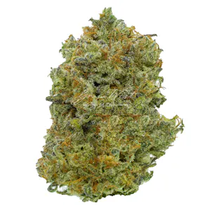 Photo of Intergalactic Trimmed | Gold