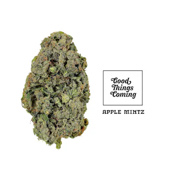 Photo of Apple Mintz 14g Flower