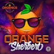 Product image for Orange Sherbert