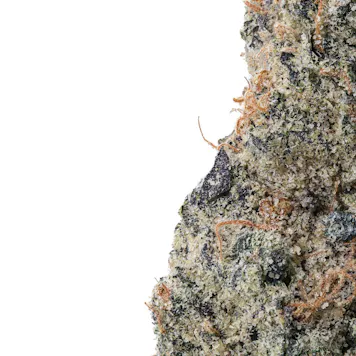 Photo of Platinum Pancakes High THCa Hemp Flower