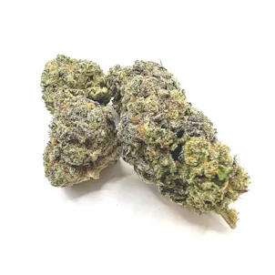 Photo of Dynamite Cookies THCA Flower