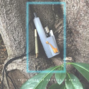 Photo of Terrapin "Dino Gold" Lighter and Blunt Travel Case *Customizable