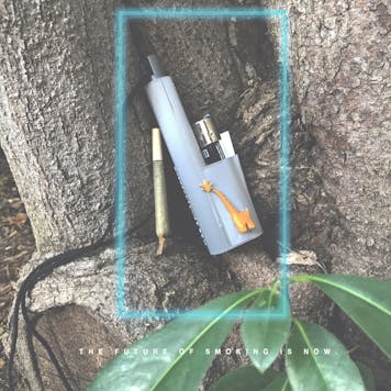 Photo of Terrapin "Dino Gold" Lighter and Blunt Travel Case *Customizable