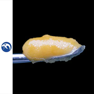 Photo of Dutch Haze Wax 1g