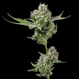 Photo of ZtrawberrieZ