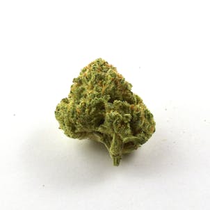 Photo of Cinex Flower