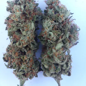 Photo of Mother of Berry