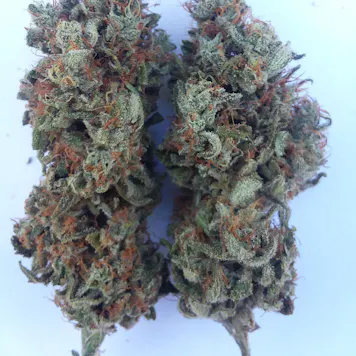 Photo of Mother of Berry