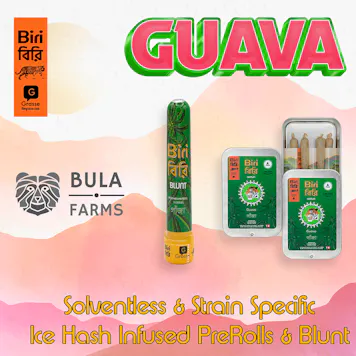 Photo of Solventless Infused BIRI Blunt - Guava