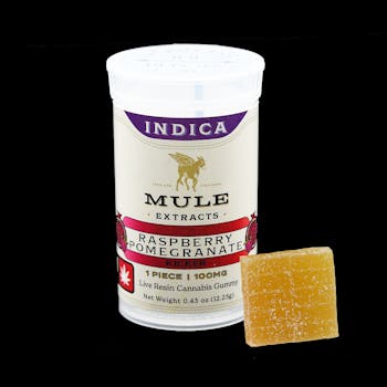 MULE | RASPBERRY POMEGRANATE GUMMY | 100MG