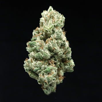 Photo of Gaston OG