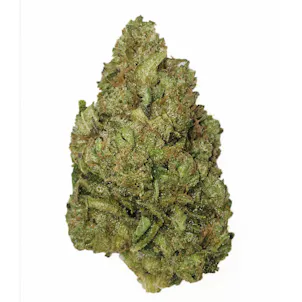 Photo of RoadDawg