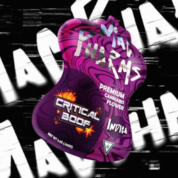 Photo of Critical Boof 3.5G Prepackaged Flower