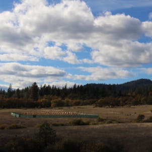 Photo of FARM TOWN: 40 ACRES, East of Humboldt at $800K