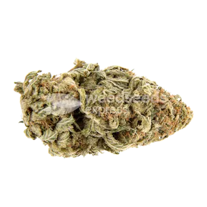 Photo of Outback OG Feminized Seeds