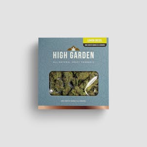 Photo of Lemon Diesel 3.5G Sativa Flower