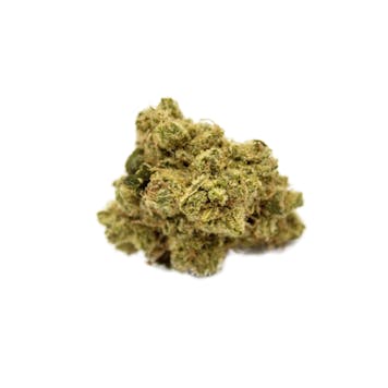 Product image for Biohazard