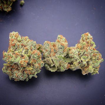 Photo of Electric Velvet