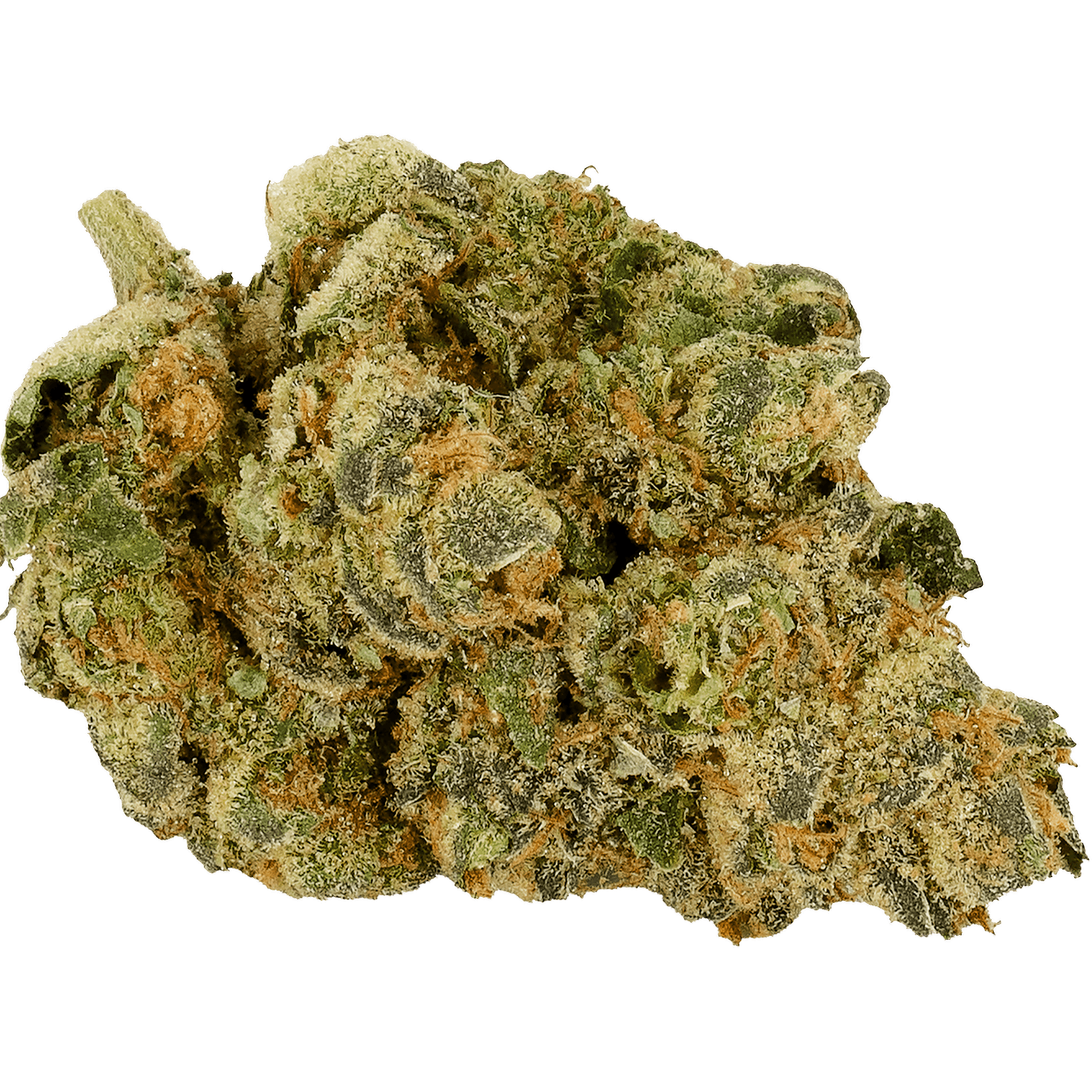 DOJA GMO Garlic Breath Leafly