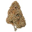 Product image for Suver Haze Hemp Flower