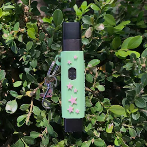 Photo of Terrapin PAX ERA Case + Keychain, "Pink Stars" *Customizable