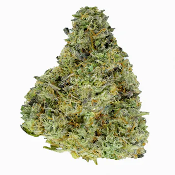 Photo of Malibu Cake Premium