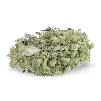 Photo of Green Crack Feminized Seeds