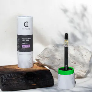 Photo of City Trees 500mg Rest Disposable Vape Pen