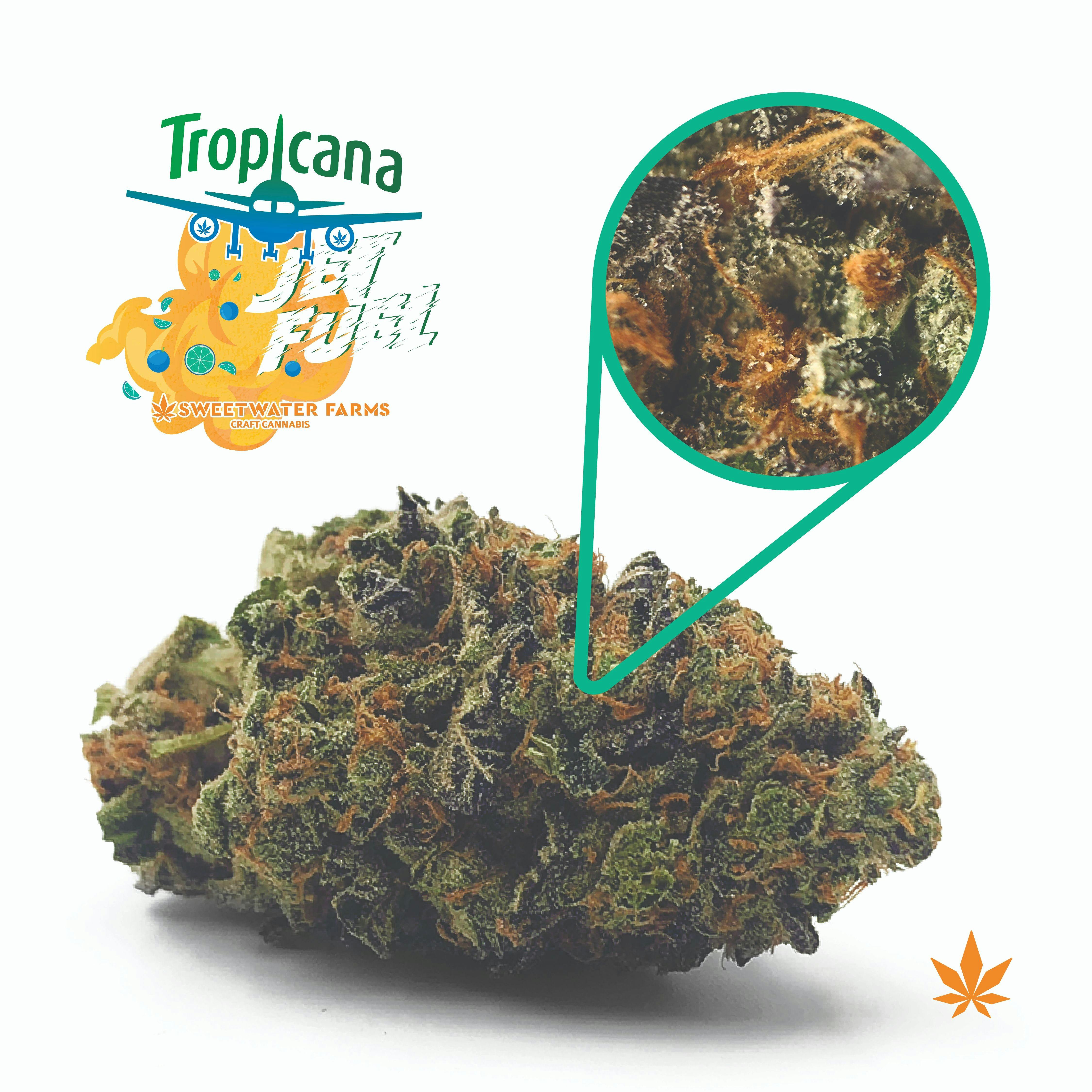 Sweetwater Farms Tropicana Jet Fuel Leafly