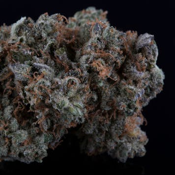 Photo of Bell-Ringer