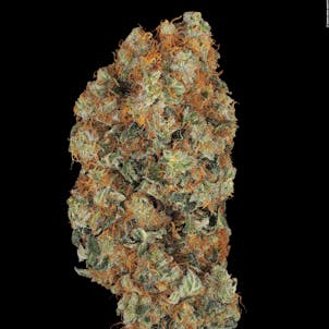 Photo of TOMMY CHONG'S™ - BLUE KUSH BERRY