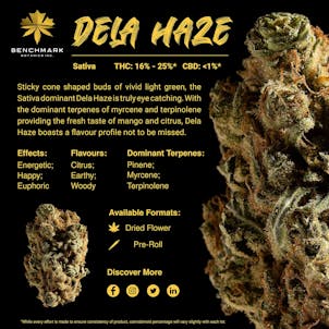 Photo of Dela Haze