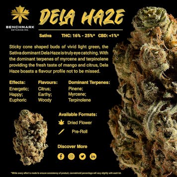 Photo of Dela Haze