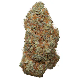 Photo of Indoor Space Glue