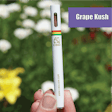 Product image for 50mg Grape Kush CBD Disposable Vape Pen