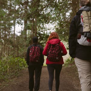 Photo of Cannabis Culture Tour