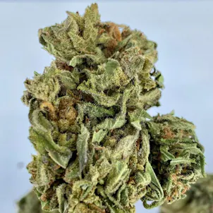 Photo of Durban Poison Strain CBD Hemp Flower