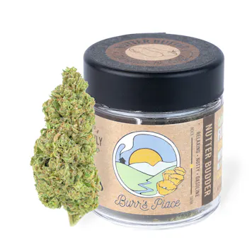 Photo of Nutter Budder - 3.5g Jar