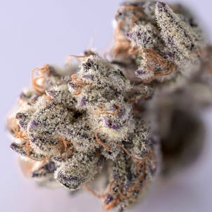 Photo of Dosiface #3