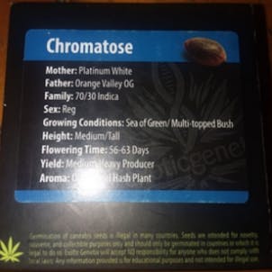Photo of Exotic Genetics - Chromatose seeds