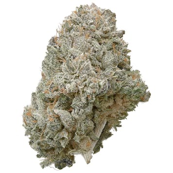 Photo of Indoor Stardust CBG
