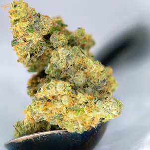 Photo of Strawberry Gelato - Indica Hybrid