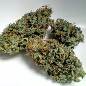 Photo of Mystery Machine