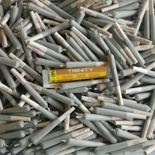 Photo of Trinity Hash Plant Pre-Roll